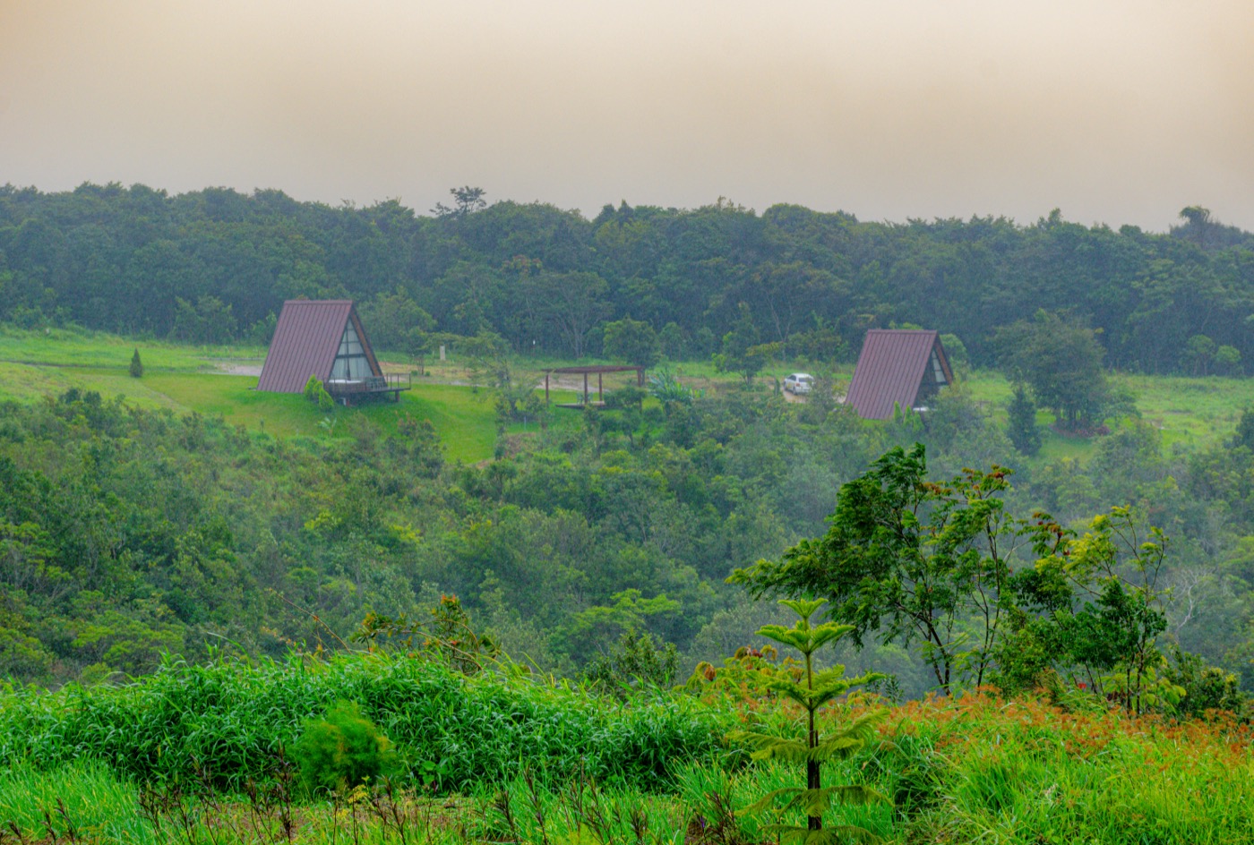Chalés entre a mata com neblina