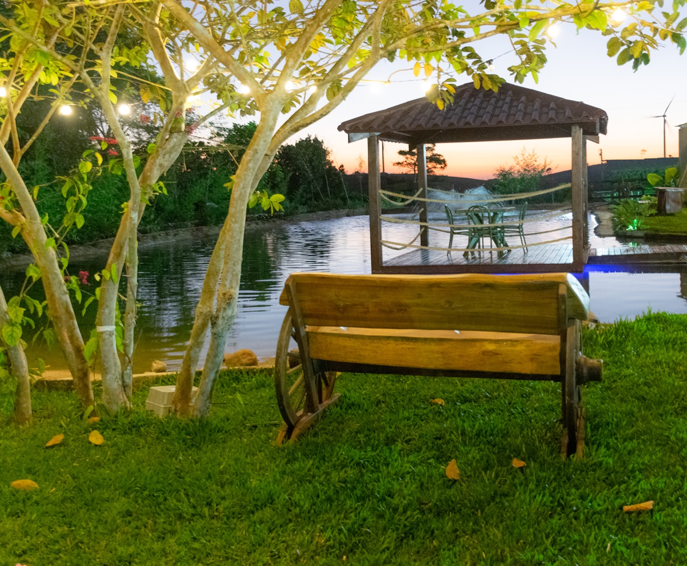 Banco de madeira sob luzes à noite