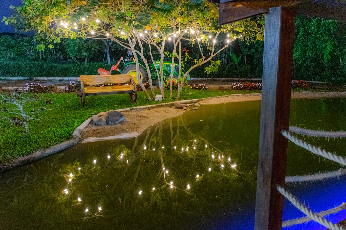 Luzes na árvore ao anoitecer