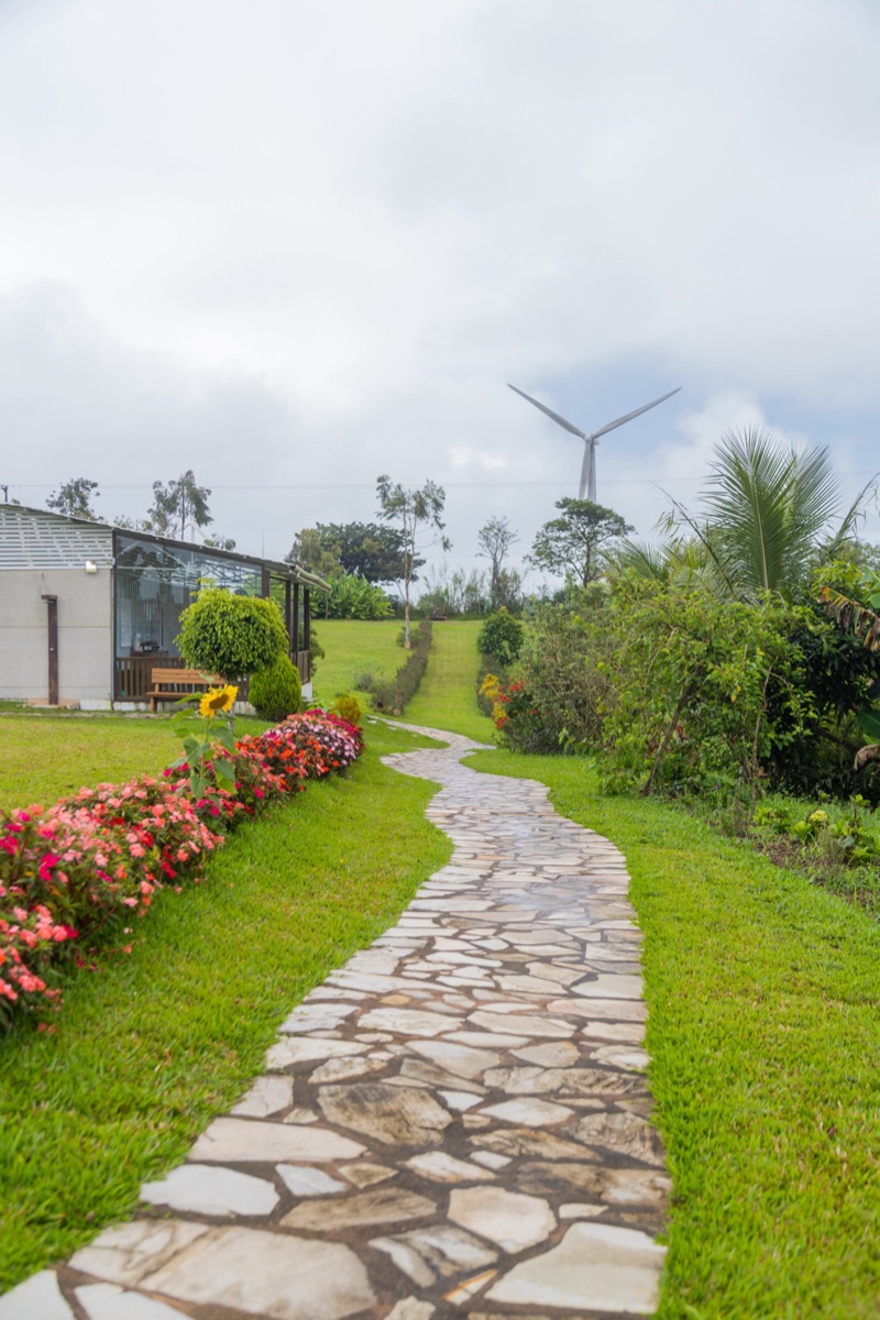 Caminho de pedras entre canteiros de flores
