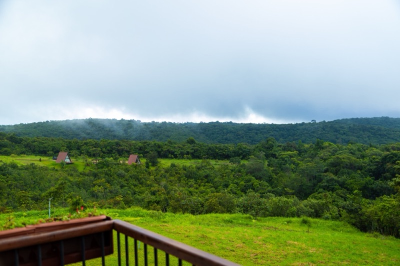 Vista da varanda para o vale e a mata da serra